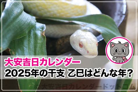 2025年 巳年|2025年の干支「乙巳(きのと・み)」はどんな年かを詳しく解説!